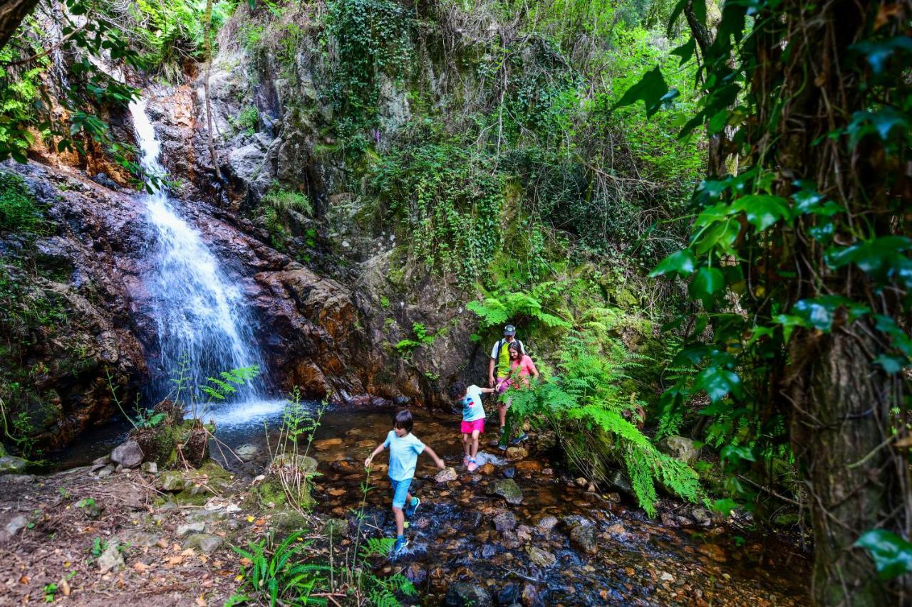 Vale Do Ninho Nature Houses Ferraria de São João Zewnętrze zdjęcie